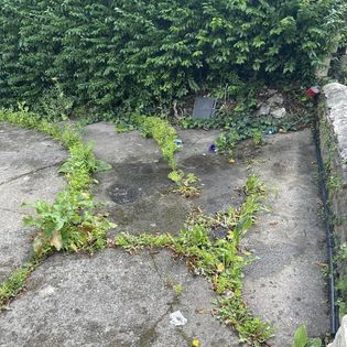 black bags after removal