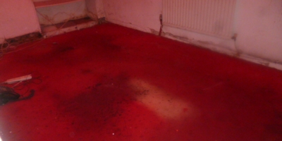 scandia-carpets-city-road-cardiff-272D4E72DE-3328-A0FE-C7C5-E5B237118776.jpg