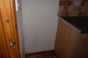 rhydfelin house clearance 2