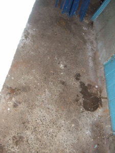 Blackwood Waste Clearance 2