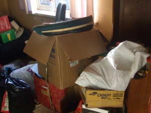 Ewenny Waste Clearance 2